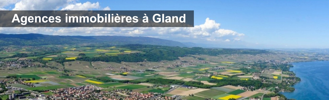 agence immobiliere gland