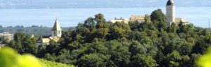 comment vendre sa maison appartement aubonne