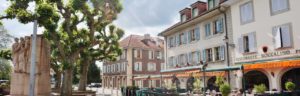 estimation bien immobilier carouge geneve