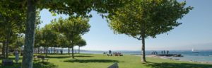 estimation bien immobilier anieres geneve