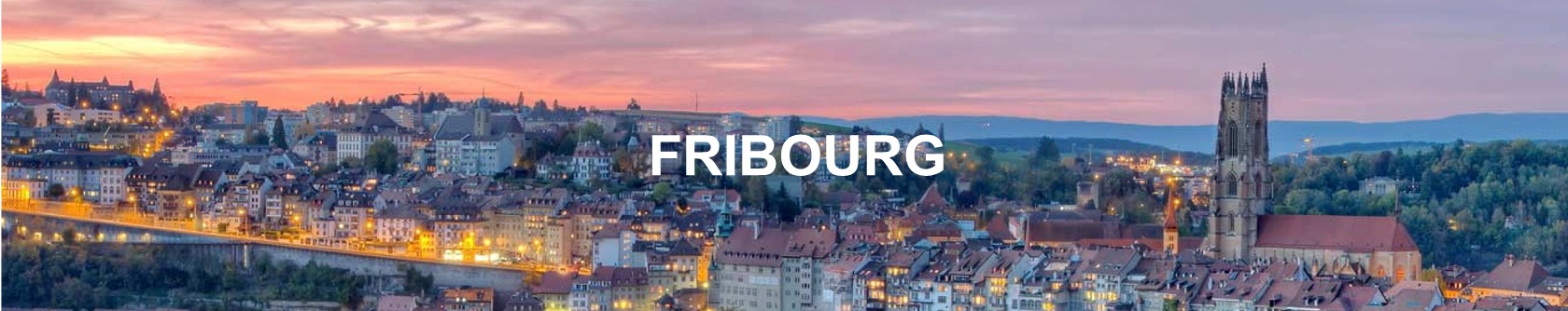 evolution prix immobilier fribourg 2019