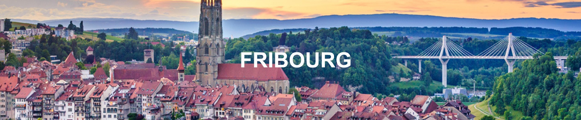 evolution prix au m2 immobilier fribourg 2020