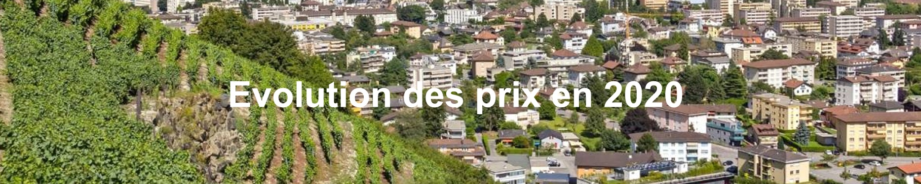 evolution prix m2 immobilier valais 2020