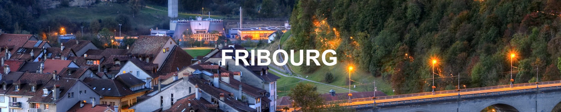 evolution prix immobilier fribourg 2020