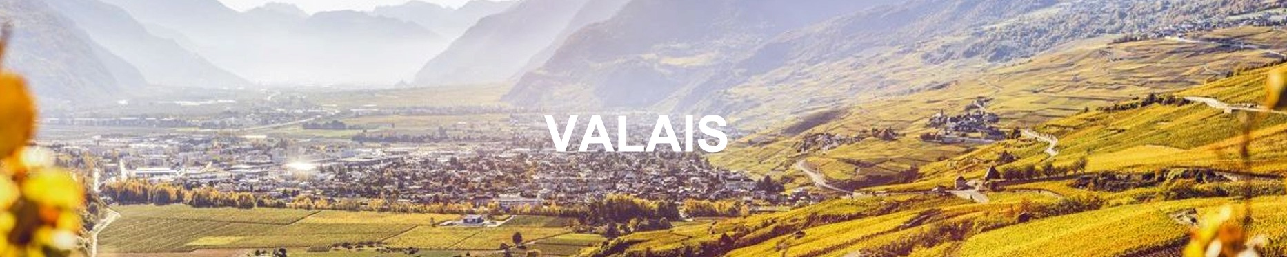 evolution prix m2 immobilier valais 2021