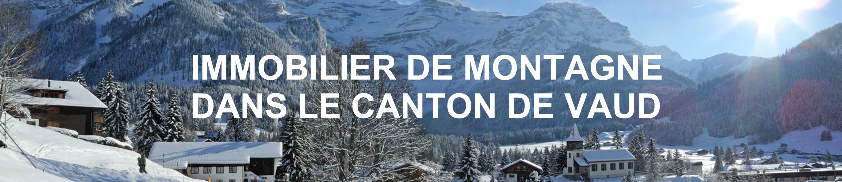 evolution prix immobilier station de ski vaud 2022