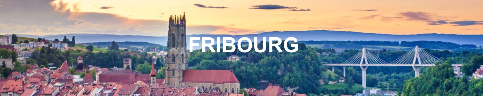 historique evolution prix m2 immobilier fribourg 2022