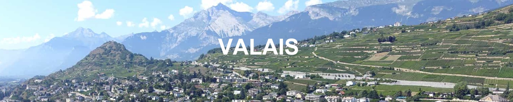 historique evolution prix m2 immobilier valais 2022